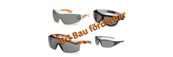 Sonnenschutzbrillen BG Bau förderbar