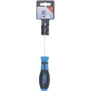 BGS technic Innen-6-kant-Schraubendreher, H3,0 x 100 mm