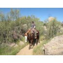 LifeStraw Wasserfilter Personal 5 Stück Abverkauf