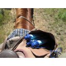 LifeStraw Wasserfilter Personal 5 Stück Abverkauf