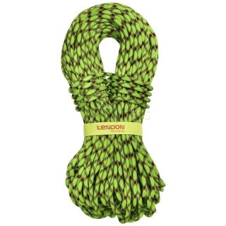 TENDON - Kletterseil MASTER 9,7 grün in diversen Längen