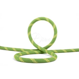 EDELWEISS - Seil TOPLIGHT II 10.2 mm -grün in verschiedenen Längen