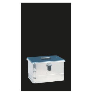 MAS Absturzsicherung Alu- Transportkoffer