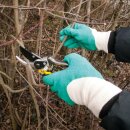 Triuso Stone-Star, Baumwoll-Handschuh mit Latex SB-Karte