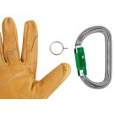 Petzl AmD Pin-Lock Karabiner in grau