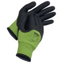 Uvex uvex unilite thermo plus cut c, Gr. 08