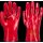 Portwest PVC Stulpenhandschuh 27cm