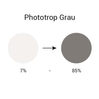 Infield Tönung Phototrop Grau