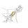 Petzl ROLLCLIP Z Karabiner TRIACT-LOCK