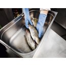 Ardon Haushaltshandschuhe SEMPERVELVET 09/L