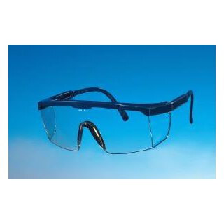 Leipold und Döhle Panorama Vollsichtbrille dunkelblau Kunststoffglas farblos u. beschlagfrei