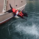 Alpdesign Hundegurt DELPHINUS verschiedene Größe