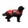 Alpdesign Hundegurt DELPHINUS verschiedene Größe