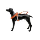 Alpdesign Hundegurt LAIT verschiedene Größe