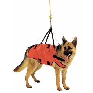 Alpdesign Hundegurt TAXI verschiedene Größe