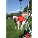 Alpdesign Hundegurt TAXI verschiedene Größe