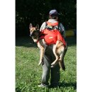 Alpdesign Hundegurt TAXI verschiedene Größe