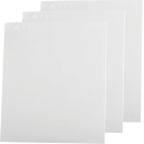 DeltaPlus BARRIER PLATE 2 Ersatz-Außenvisiere für BARRIER 2 Helme aus Polycarbonat Farblos