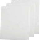 DeltaPlus BARRIER PLATE 2 Ersatz-Außenvisiere für BARRIER 2 Helme aus Polycarbonat Farblos
