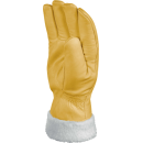 DeltaPlus FBF15 Thermohandschuh aus Leder verschiedene Größen