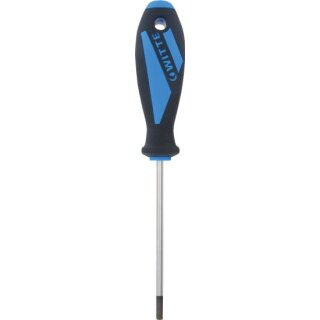 Triuso Torx-Schraubendreher T30, mit Softgriff