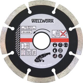 Triuso DIA-Scheibe 125 mm segment, gesintert