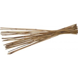 Triuso Tonkinstäbe 60cm, 25 Stück gebündelt