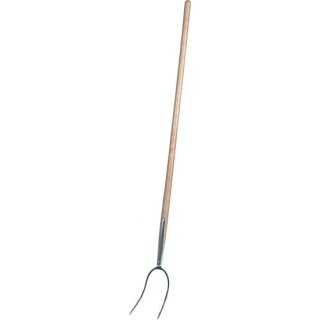 Triuso Heugabel, 2 Zinken, Zwinge, Eschenstiel 135cm, grün - Speditionsversand