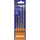 Triuso SDS Plus Hammerb.-satz, 4-tlg. 5-6x110, 8-10x160 mm