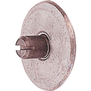 Triuso HM-Ersatzrad 20 x 3 mm Bohrung 5 mm, mit Achse