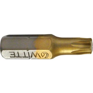 Triuso Bit 1/4" TX20,TIN-Beschichtung