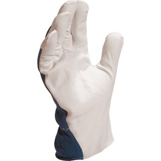 Venitex Ziegen-Lederhandschuh CT402BL mit Stoff-Handrücken